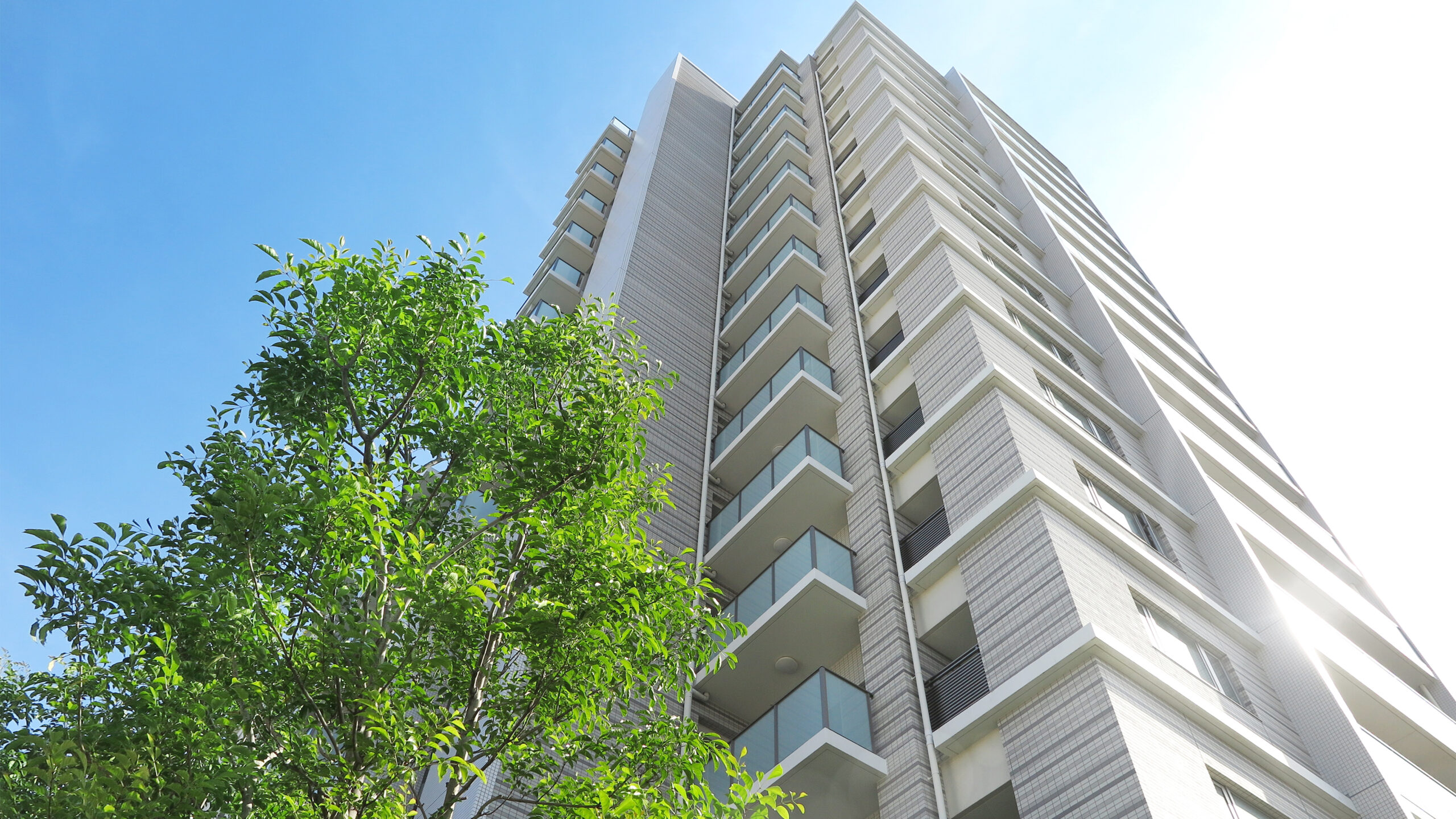 メインビジュアル